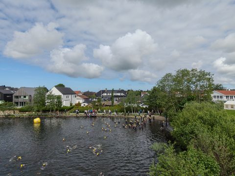 coachloydbrynetri20260001.jpg