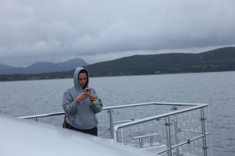 20260704-Rockman-GAJ51260.JPG