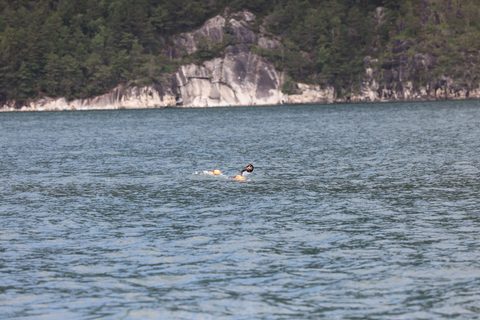 20260704-Rockman-GAJ51849.JPG
