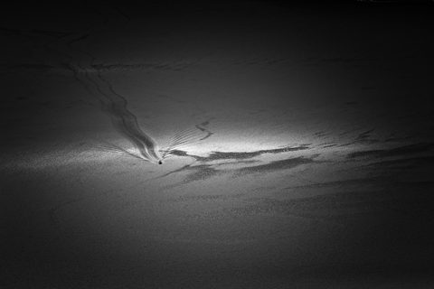 20260704-Rockman-GAJ31992-BW.jpg
