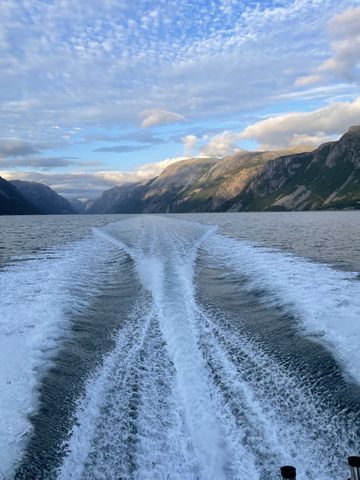 IMG_7379.jpeg