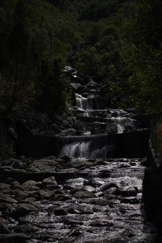 coachloydrockman20260230.JPG