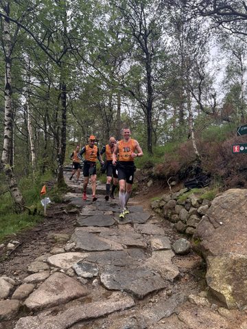 IMG_0950.jpeg