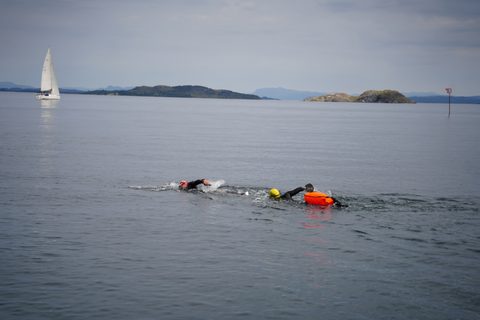DSC07519.JPG
