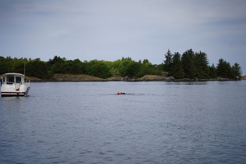 DSC07522.JPG