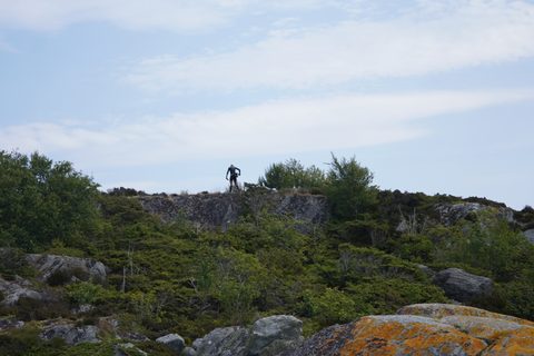 DSC09658.JPG