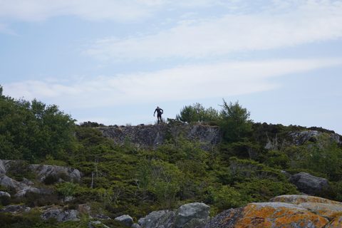DSC09659.JPG