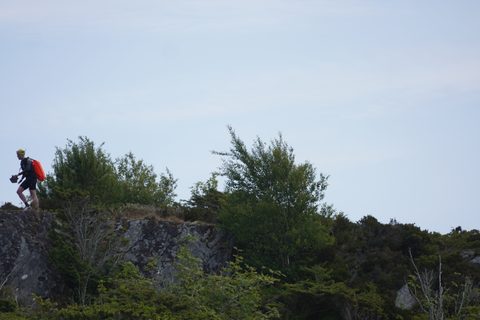 DSC09667.JPG