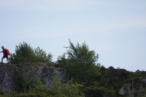 DSC09668.JPG