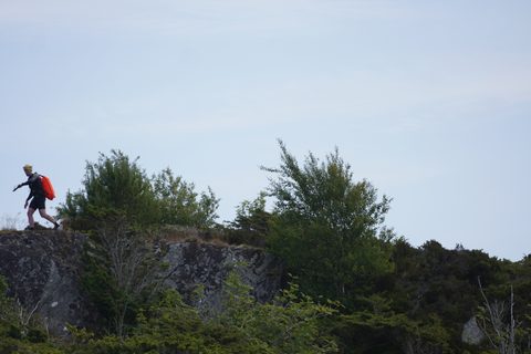 DSC09669.JPG