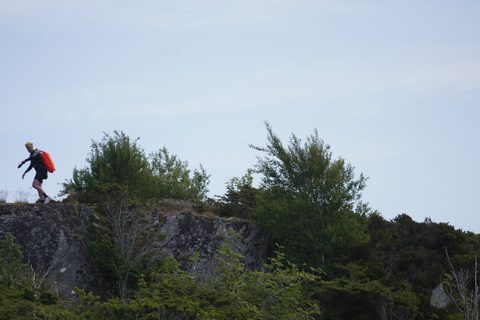 DSC09670.JPG