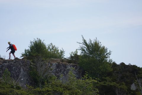 DSC09671.JPG