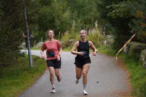 Coachloyd_sandneshalv0769.JPG