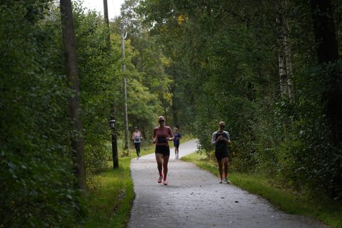 Coachloyd_sandneshalv1161.JPG