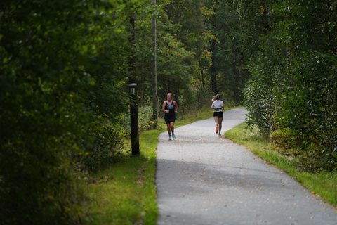 Coachloyd_sandneshalv1454.JPG