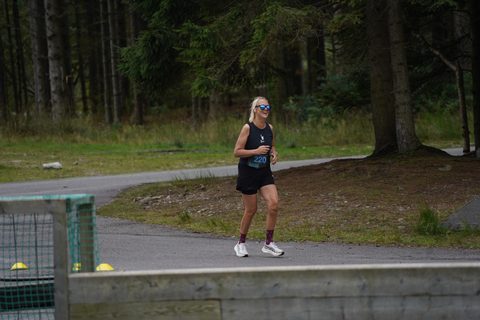 Coachloyd_sandneshalv1638.JPG