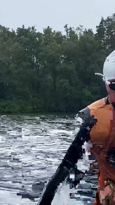 thor-03 - svømmer opp av vannet tett på.mp4