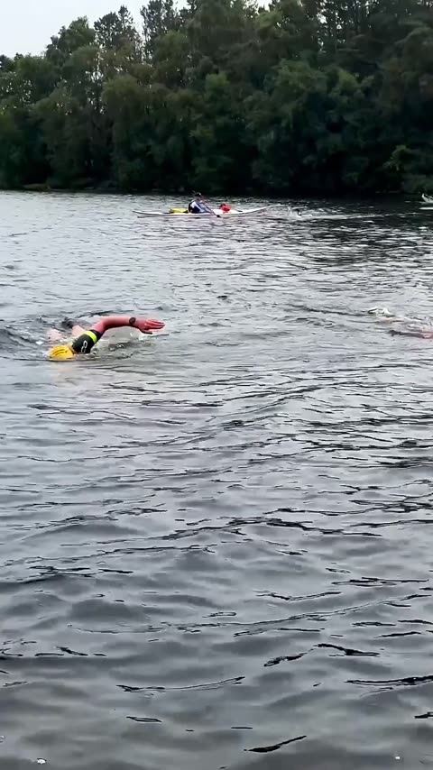 thor-10 - svømmer mot land.mp4