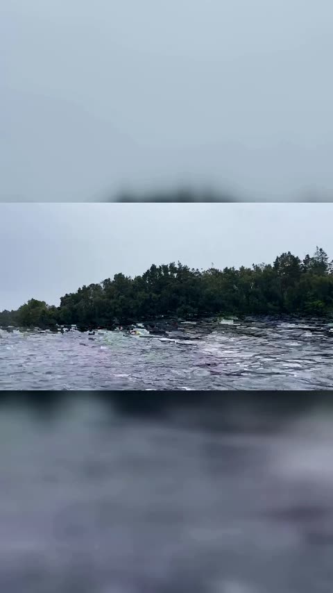 thor-12 - svømmere inn mot land ved utgangen.mp4